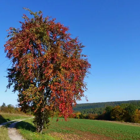 Lägenhet Blumenschein-ferienwohnung Unne